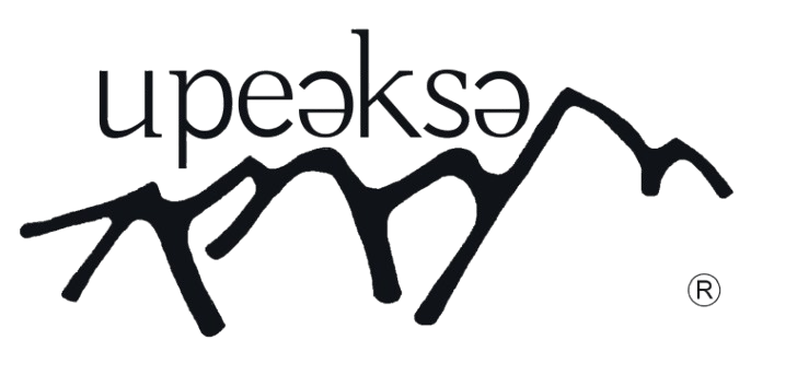 upeaksa — Asesoramiento en nutrición y bienestar